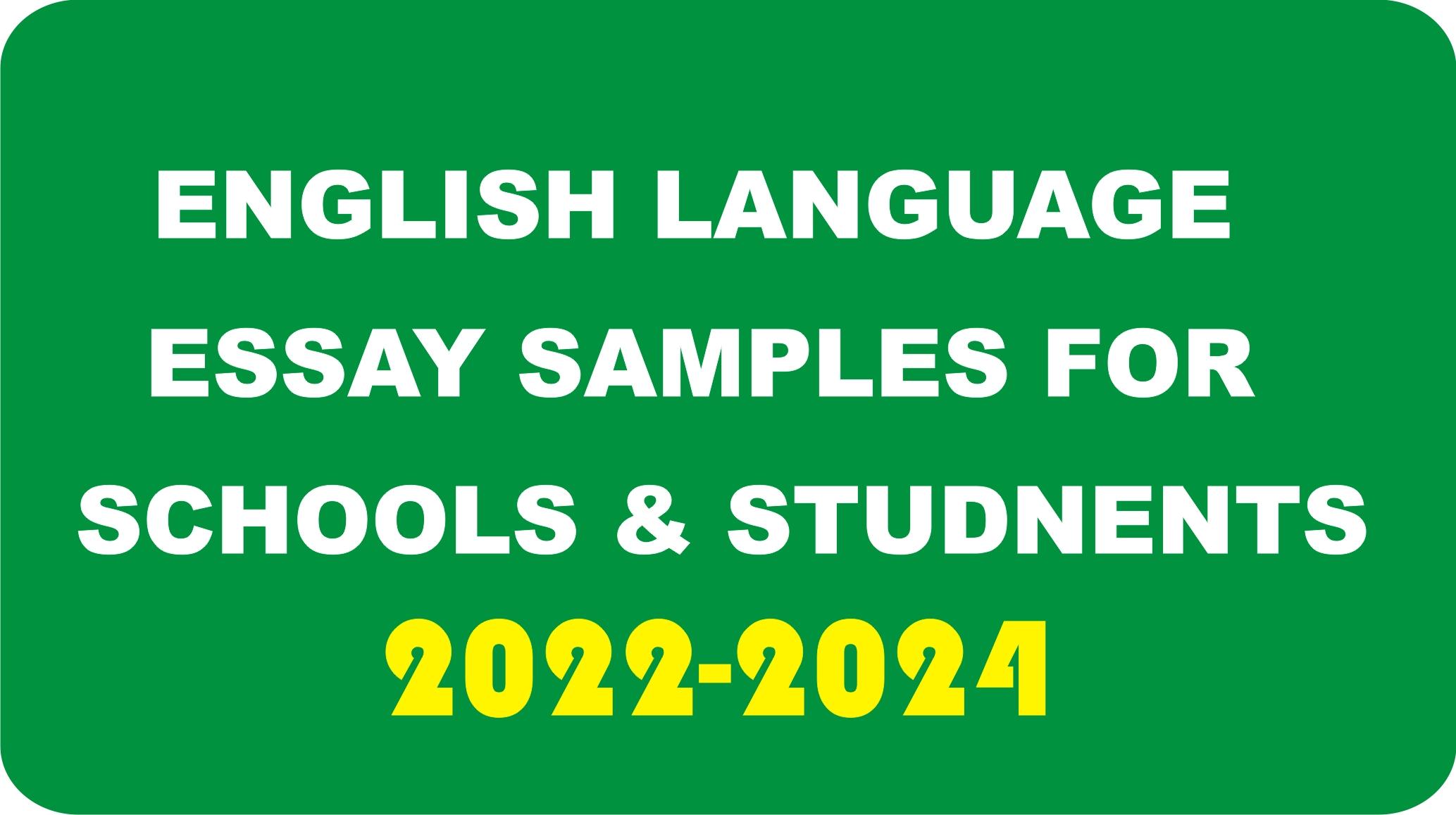 english language essay examples 2022